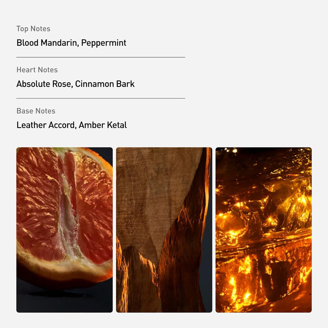 description_selected1